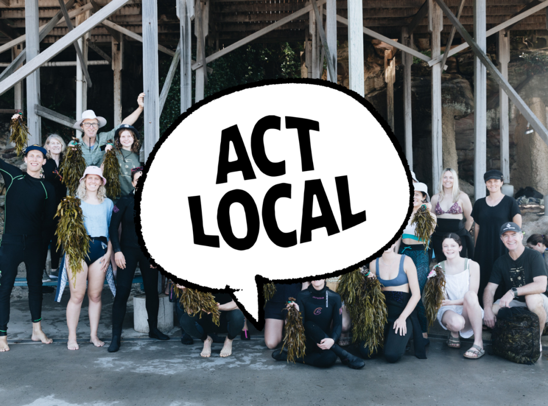 Act Local